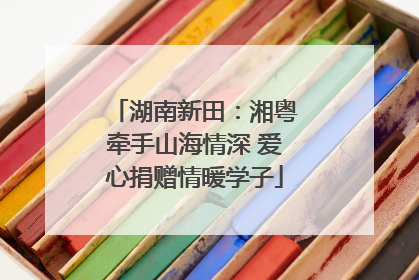 湖南新田：湘粤牵手山海情深 爱心捐赠情暖学子