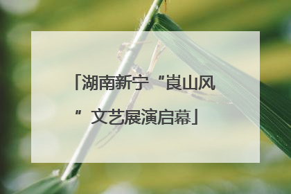 湖南新宁“崀山风”文艺展演启幕