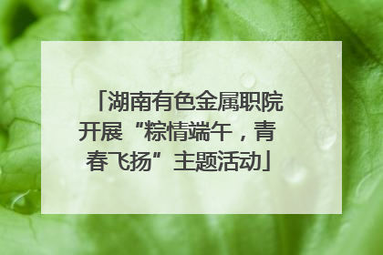 湖南有色金属职院开展“粽情端午，青春飞扬”主题活动