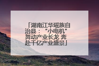 湖南江华瑶族自治县：“小电机”舞动产业长龙 奔赴千亿产业盛景