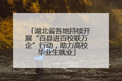 湖北省各地持续开展“百县进百校联万企”行动，助力高校毕业生就业
