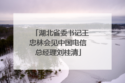 湖北省委书记王忠林会见中国电信总经理刘桂清