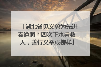 湖北省见义勇为先进秦遵照：四次下水勇救人，善行义举成榜样
