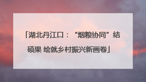 湖北丹江口：“烟粮协同”结硕果 绘就乡村振兴新画卷