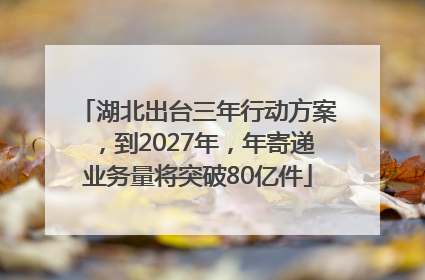 湖北出台三年行动方案，到2027年，年寄递业务量将突破80亿件