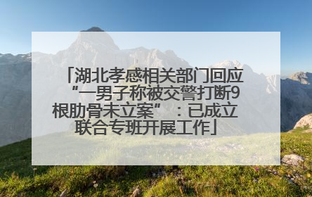湖北孝感相关部门回应“一男子称被交警打断9根肋骨未立案”：已成立联合专班开展工作