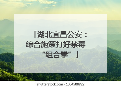 湖北宜昌公安：综合施策打好禁毒“组合拳”