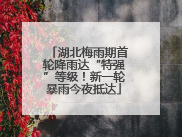 湖北梅雨期首轮降雨达“特强”等级！新一轮暴雨今夜抵达