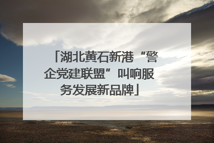 湖北黄石新港“警企党建联盟”叫响服务发展新品牌