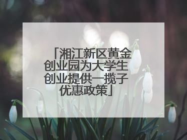 湘江新区黄金创业园为大学生创业提供一揽子优惠政策