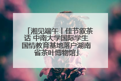 湘见端午丨佳节叙茶话 中南大学国际学生国情教育基地落户湖南省茶叶博物馆
