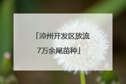 漳州开发区放流7万余尾苗种