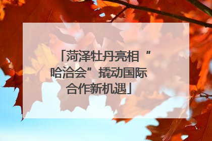 菏泽牡丹亮相“哈洽会”撬动国际合作新机遇