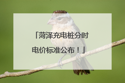 菏泽充电桩分时电价标准公布！
