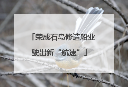 荣成石岛修造船业驶出新“航速”