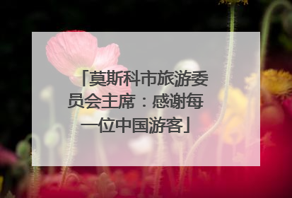 莫斯科市旅游委员会主席：感谢每一位中国游客