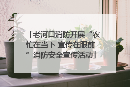 老河口消防开展“农忙在当下 宣传在眼前”消防安全宣传活动