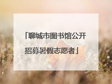 聊城市图书馆公开招募暑假志愿者