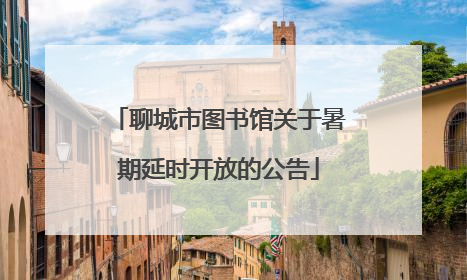 聊城市图书馆关于暑期延时开放的公告