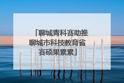 聊城青科赛助推聊城市科技教育省赛硕果累累