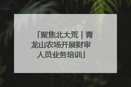聚焦北大荒｜青龙山农场开展财审人员业务培训