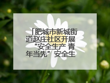 肥城市新城街道赵庄社区开展“安全生产 青年当先”安全生产月系列活动