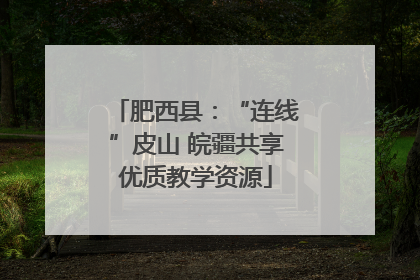 肥西县：“连线”皮山 皖疆共享优质教学资源