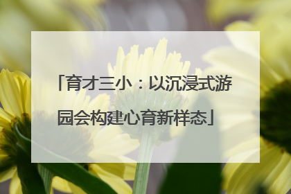 育才三小：以沉浸式游园会构建心育新样态
