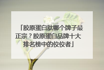 胶原蛋白肽哪个牌子最正宗？胶原蛋白品牌十大排名榜中的佼佼者