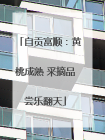 自贡富顺：黄桃成熟 采摘品尝乐翻天