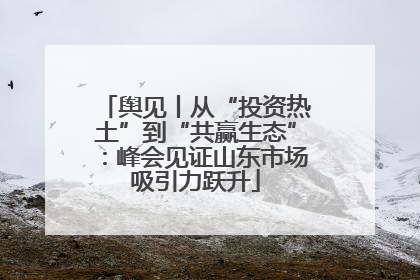 舆见丨从“投资热土”到“共赢生态”：峰会见证山东市场吸引力跃升