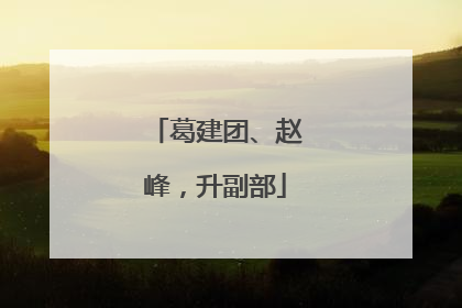 葛建团、赵峰，升副部