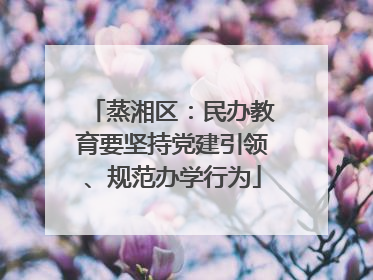 蒸湘区：民办教育要坚持党建引领、规范办学行为