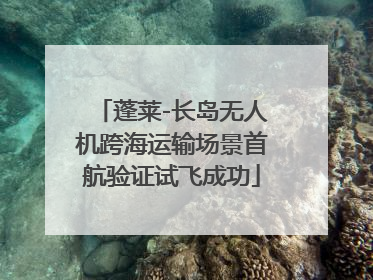 蓬莱-长岛无人机跨海运输场景首航验证试飞成功