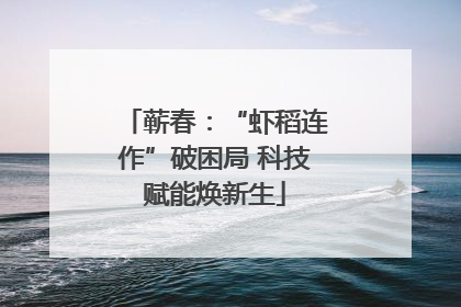 蕲春：“虾稻连作”破困局 科技赋能焕新生