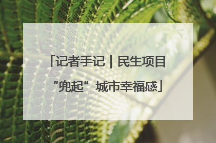 记者手记｜民生项目“兜起”城市幸福感