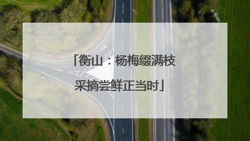 衡山：杨梅缀满枝 采摘尝鲜正当时