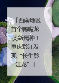 西南地区首个鸭嘴龙类新属种！重庆黔江发现“长生黔江龙”