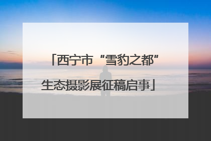 西宁市“雪豹之都”生态摄影展征稿启事