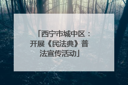 西宁市城中区：开展《民法典》普法宣传活动