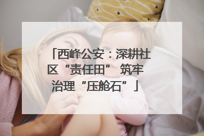 西峰公安：深耕社区“责任田” 筑牢治理“压舱石”