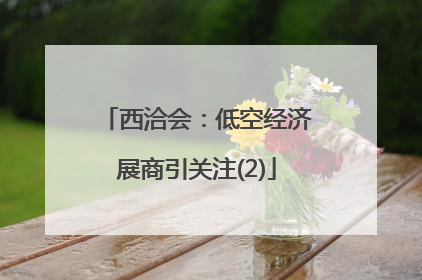 西洽会：低空经济展商引关注(2)