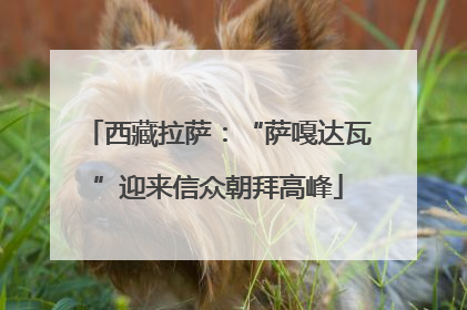 西藏拉萨：“萨嘎达瓦”迎来信众朝拜高峰