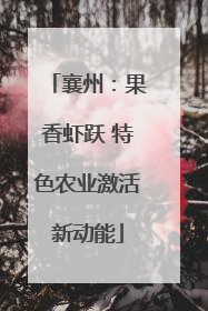 襄州：果香虾跃 特色农业激活新动能