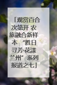 观赏百合次第开 农旅融合新样本 “胜日寻芳·花漾兰州”系列报道之七