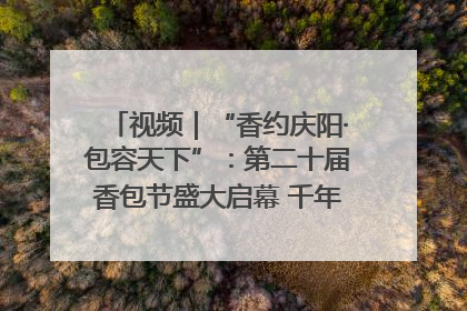 视频｜“香约庆阳·包容天下”：第二十届香包节盛大启幕 千年非遗香飘世界