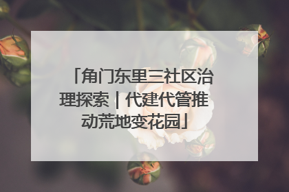 角门东里三社区治理探索｜代建代管推动荒地变花园