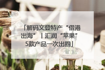 解码文登特产“借港出海”丨汇润“苹果”5款产品一次出圈
