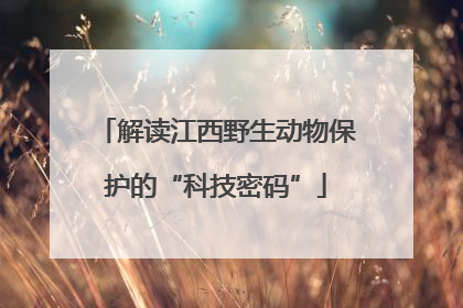 解读江西野生动物保护的“科技密码”