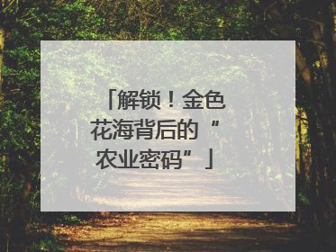 解锁！金色花海背后的“农业密码”